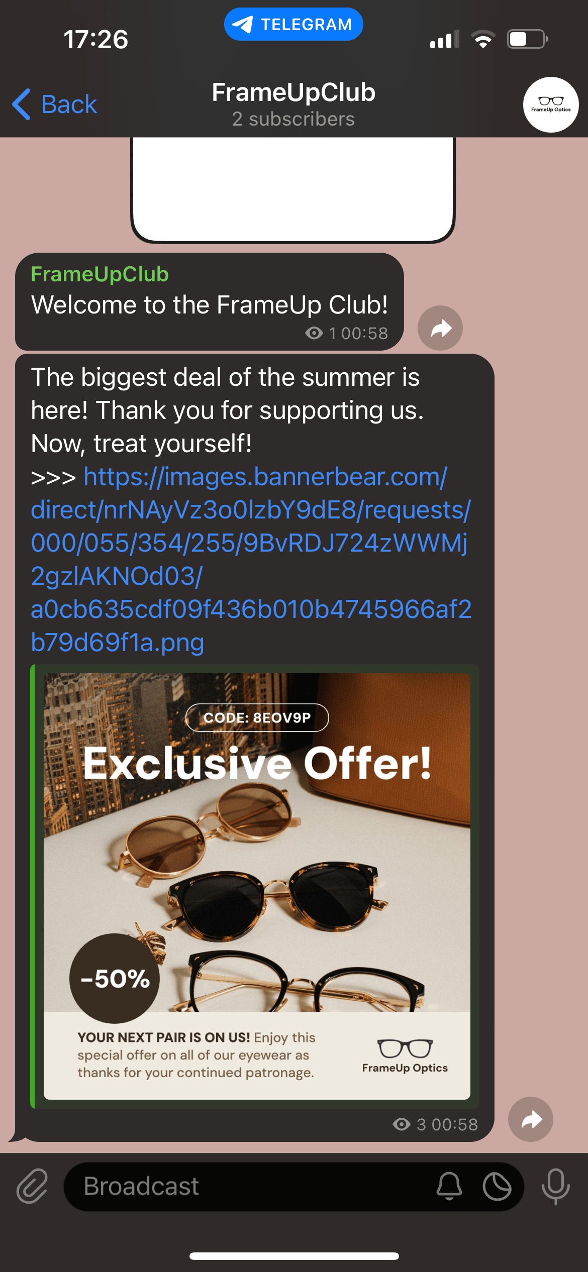Mobile screenshot of Telegram channel with automated bot message